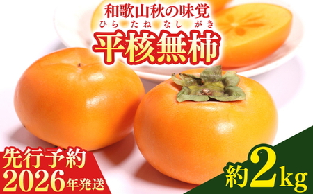 【2026年先行予約】和歌山秋の味覚 平核無柿（ひらたねなしがき） 約2kg 化粧箱入