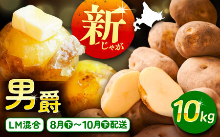 【先行予約】北海道産じゃがいも 男爵 10kg（LM混合）【足寄町/党崎農場】じゃがいも[BEAA006]