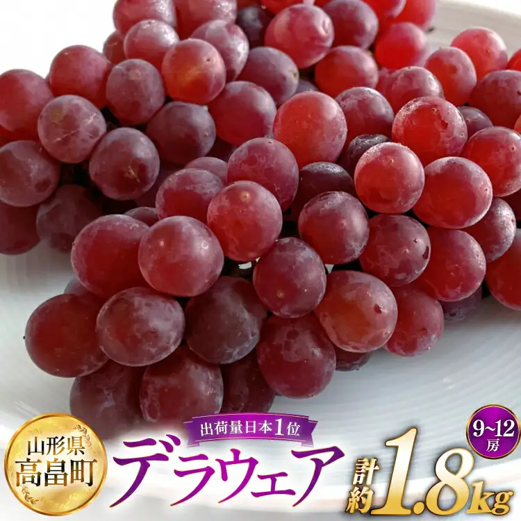 【期間限定発送】 ぶどう 高畠町産 デラウェア 9～12房 約 1.8kg [JA山形おきたま 山形県 高畠町 tk06ays870059]