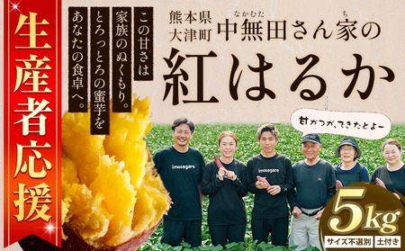 熊本県大津町産 中無田農園の紅はるか 約5kg (大中小サイズ不揃い) 熊本県大津町 《1-5日以内に出荷予定(土日祝除く)》 さつまいも 芋 スイートポテト 干し芋にも 名産地 特産品 秋 旬