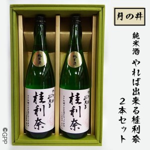 日本酒 純米酒 ガルパン 720ml 2本 セット 月の井 コラボ 大洗 地酒 ガールズ＆パンツァー 桂利奈_AW008