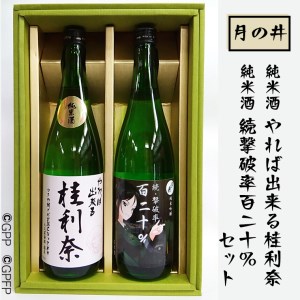 日本酒 ガルパン 720ml 2本 セット 純米酒 純米吟醸 月の井 コラボ 大洗 地酒 ガールズ＆パンツァー 桂利奈_AW010