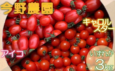[先行受付] 北海道 仁木町産 ミニトマト 3kg サイズ混合 アイコ または キャロルスター野菜 トマト [今野農園]