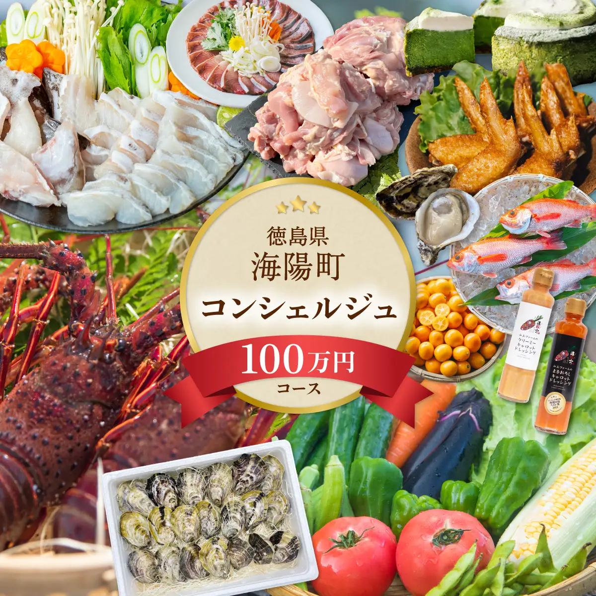 海陽町ふるさと納税コンシェルジュサービス＜寄附金額100万円コース＞