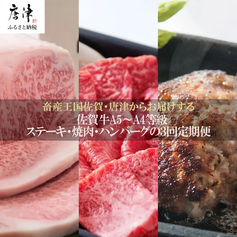 「定期便全3回」 佐賀牛 ステーキ250g×2・焼肉360g・ハンバーグ140g×10個 (合計2.26kg) 寄附翌月から発送 A5～A4等級 ギフト 贈り物