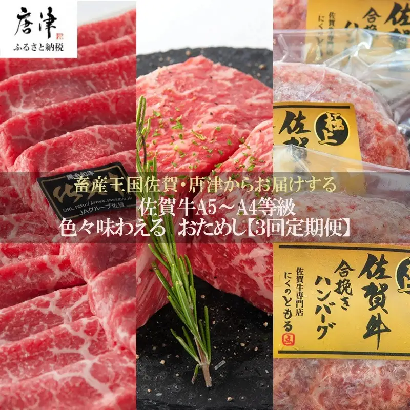 「定期便全3回」 佐賀牛 お試し定期便 寄附翌月から発送 モモスライス400g 6種盛360g ハンバーグ140g×6 (合計1.6kg) A5～A4等級 ギフト 贈り物