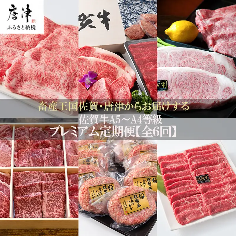 「定期便全6回」 佐賀牛 プレミアム定期便 寄附翌月から発送 A5～A4等級 ギフト 贈り物