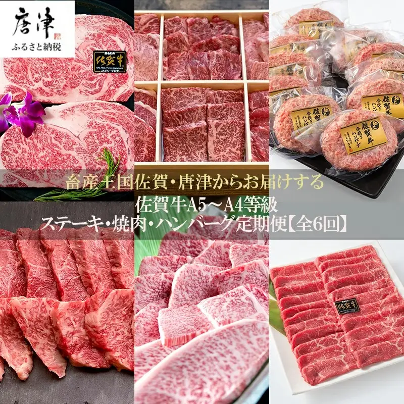 「定期便全6回」 佐賀牛 ステーキ・焼肉・ハンバーグ 寄附翌月から発送 (合計3.96kg) A5～A4等級 ギフト 贈り物