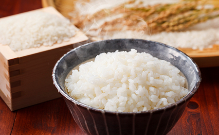 令和7年産 きぬむすめ 精白米 5kg 白米 お米 岡山 米/きぬむすめ 