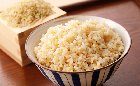 令和7年産 きぬむすめ 玄米 10kg お米 岡山 米/きぬむすめ 
