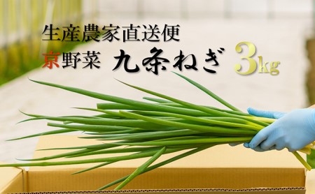 生産農家直送 京野菜・九条ねぎ3kg〈ねぎ ネギ 葱 九条ねぎ 京野菜 京都 新鮮 甘い 農家直送 野菜〉 