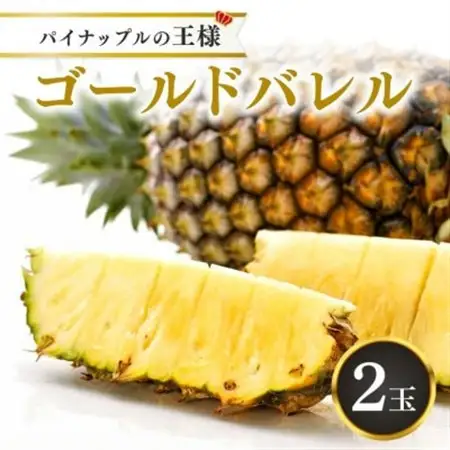 【2026年5月から順次発送・ハウス栽培】パイナップルの王様 ゴールドバレル2玉【配送不可地域：離島】【1608233】