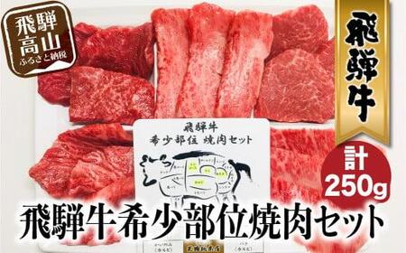 A5等級 飛騨牛 希少部位 焼肉セット 250g 5種食べ比べ ( ヒレ / ロース / もも など ) | 焼肉 飛騨牛 小分け 食べ比べ 盛り合わせ 贈答 飛騨高山 天狗総本店 BP015
