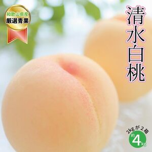【糖度12％！！】契約農家自慢の清水白桃　(約4kg)【2026年7月中旬～8月上旬発送予定】【A147-frks066】