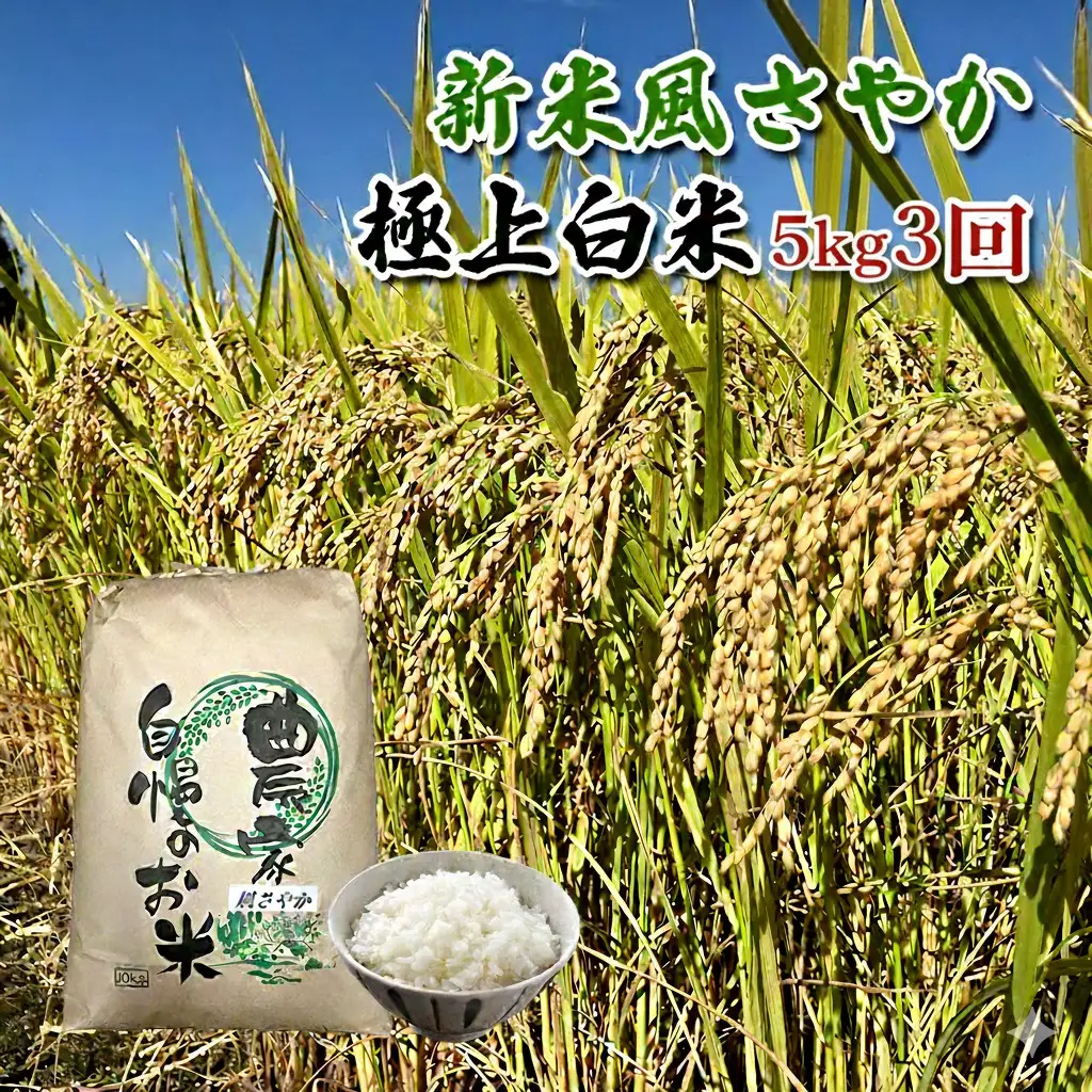 【定期便/農家直送】長野県産「風さやか」（5kg×3回）【栄屋ファーム】 お米 3ヶ月 計15kg 