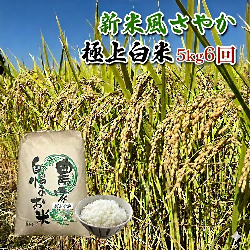 【定期便/農家直送】長野県産「風さやか」（5kg×6回）【栄屋ファーム】　 お米 6ヶ月 計30kg 