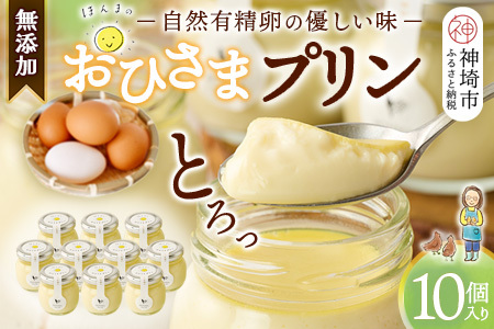 おひさまプリン10個セット (H073109)