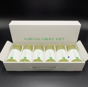 高知県土佐市産 Konatsu Drink KD 20％ 160ml (6本入)【川野果樹園】 [BQCB001]