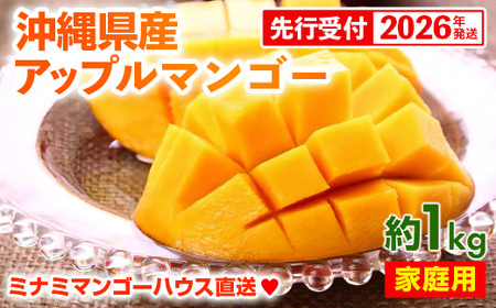 【先行受付】【2026年発送】ミナミマンゴーハウスのアップルマンゴー 家庭用 約1kg（2～4玉）- 先行予約 沖縄県産 産地直送 南国フルーツ 旬の味覚 ご自宅用 オススメ 沖縄県 八重瀬町