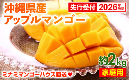 【先行受付】【2026年発送】ミナミマンゴーハウスのアップルマンゴー 家庭用 約2kg（4～7玉）- 先行予約 沖縄県産 産地直送 南国フルーツ 旬の味覚 ご自宅用 オススメ 沖縄県 八重瀬町