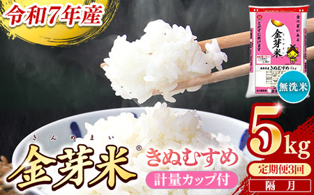 【定期便】BG無洗米・金芽米きぬむすめ 5kg×3回 （隔月）計量カップ付き 令和7年産 2ヶ月に1回 6ヶ月 計15kg 東洋ライス 健康 島根県 安来市 【価格変更】【45-SS-18】