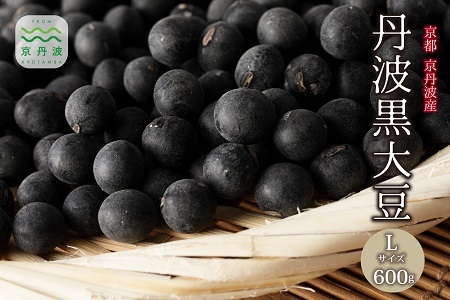 丹波黒大豆 Lサイズ 600g （300g×2袋） 黒豆