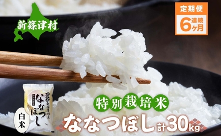 定期便 6ヵ月 北海道 特別栽培 令和7年産 ななつぼし 5kg 精米 米 白米 お米  ごはん ご飯 ライス 道産米 ブランド米 新しのつ米 ふっくら 食味ランキング  産地直送 カワサキ森田屋 お取り寄せ  送料無料