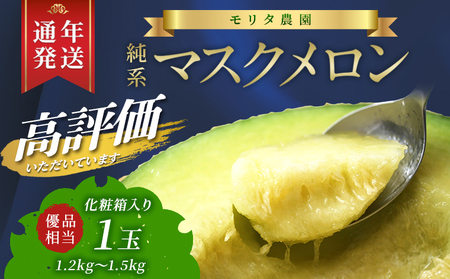 【通年栽培】純系マスクメロン１玉（化粧箱入）【６月発送分】