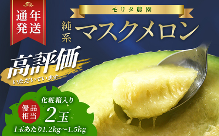 【通年栽培】純系マスクメロン２玉（化粧箱入）【６月発送分】