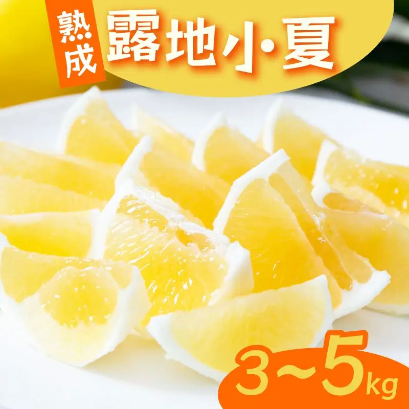 【2026年5月より発送】 熟成 露地小夏 3kg | 柑橘 フルーツ 果物 期間限定 旬の果物 ご家庭用 生産者 農家 直送 高知県 室戸市