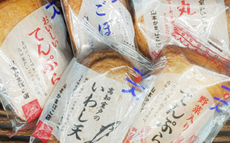 天ぷらミニセット さつま揚げ 天ぷら 室戸市