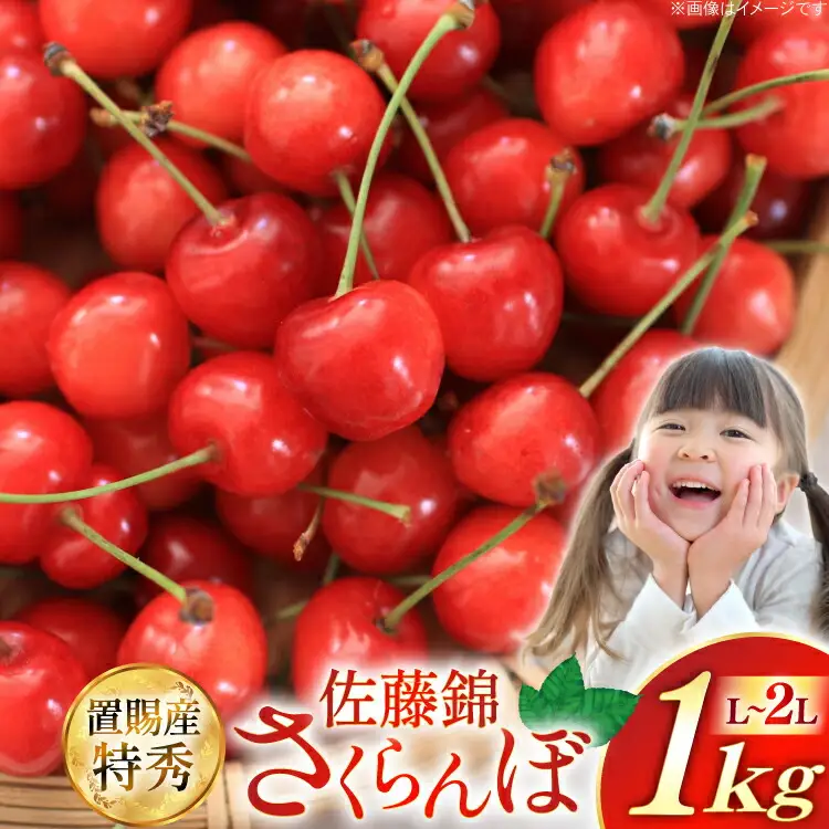 【期間限定発送】 さくらんぼ 置賜産 佐藤錦 特秀 L～2L バラ詰 1kg [JA山形おきたま 山形県 高畠町 tk06ays870047]