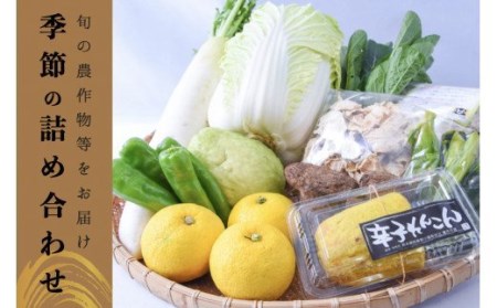 【豊作市場】野菜セット 加工品セット 店長おすすめ おまかせ 5～7種 阿蘇 小国 杖立温泉 産地直送 国産 辛子れんこん 贈り物 贈答 ギフト ご自宅用