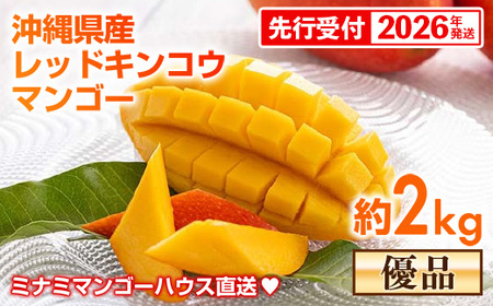 【先行受付】【2026年発送】ミナミマンゴーハウスの赤金煌(レッドキンコウ）マンゴー約2kg【優品】 - 先行予約 沖縄県産 産地直送 南国フルーツ 旬の味覚 希少種 希少栽培 オススメ 沖縄県 八重瀬町