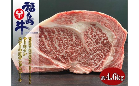 No.1074 福島県産 特選福島牛サーロインポンドステーキ　4.6Kg