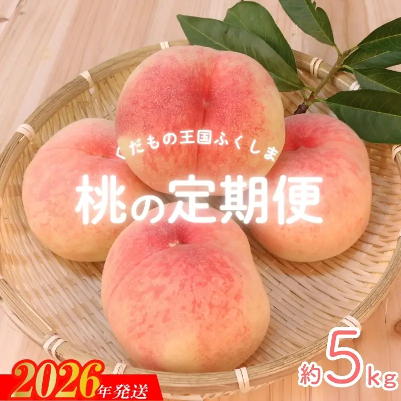 No.2027【2026年発送 先行予約】福島のもも 約5kg 定期便3回
