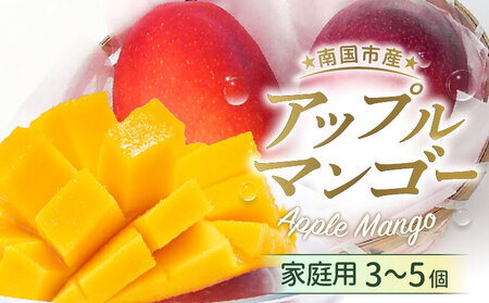【先行予約 2026年発送】家庭用マンゴー 約800g アップルマンゴー
