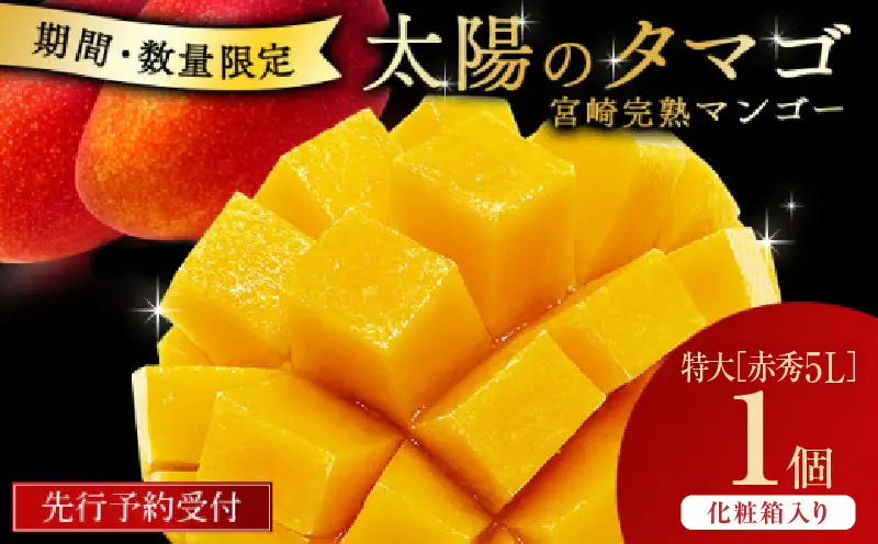 宮崎県串間市産 完熟マンゴー 太陽のタマゴ 特大(5L×1個) 化粧箱入り_K008-025