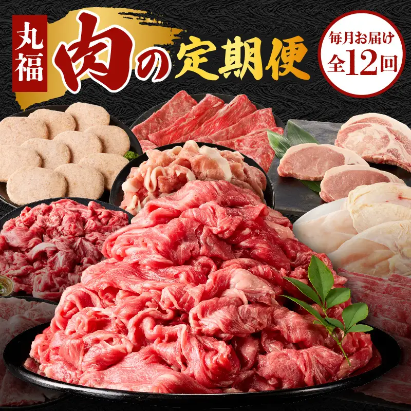 丸福 肉の定期便（12回／毎月）｜牛肉定期便【Z042】