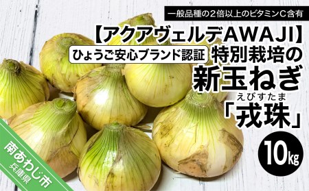 【新玉ねぎ】ひょうご安心ブランド認証 特別栽培の玉ねぎ「戎珠（えびすたま）」 １０kg 