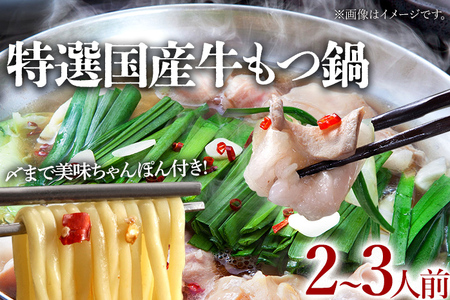 特選「鶏家」もつ鍋セット（2～3人前） ふるさと納税用セット モツ鍋 牛ホルモン もつなべ ホルモン鍋 牛モツ モツ もつ鍋 博多もつ鍋 牛もつ鍋 鍋セット 冷凍 送料無料