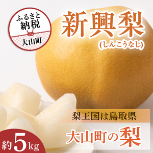 DS-07 新興梨（5kg） | 鳥取県大山町 | ふるさと納税サイト「ふるなび」