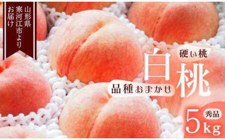 《先行予約》令和8年産 山形の硬い桃 秀品 5kg（13 - 20玉） 品種おまかせ 2026年産 山形県産【2026年8月中旬頃から9月下旬頃発送予定】※ 配送不可 沖縄・離島　023-B-MM016