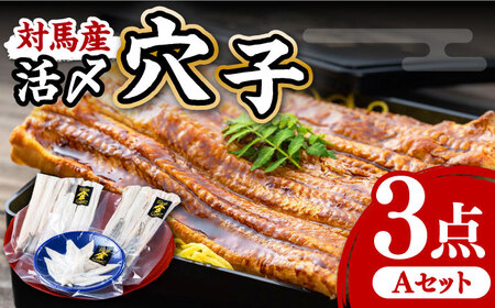 対馬産 活〆 穴子 ３点 セット A 海鮮 魚介 あなご [WAS001]