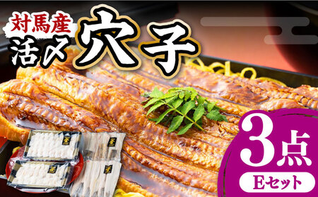 対馬産 活〆 穴子 ３点 セット E 新鮮 あなご 刺身 天ぷら 海鮮 6人前  [WAS005]