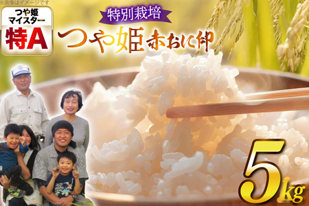 米 令和7年産 特別栽培米 赤おに印 つや姫 5kg [金子農園 山形県 高畠町 tk06ays950041]