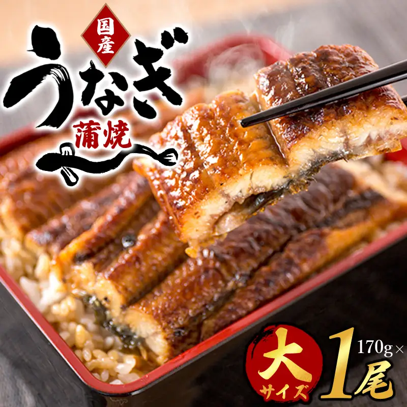 うなぎ 国産 うなぎ蒲焼き 約170g×1尾【uot714A】