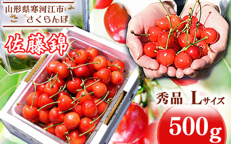 【先行予約】令和8年産 さくらんぼ 「佐藤錦」 500g（500g×1パック） 秀品 Lサイズ以上 2026年産 山形県産 【2026年6月上旬頃～下旬頃発送予定】※ 配送不可 沖縄・離島　020-A-HK015
