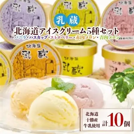 乳蔵北海道アイスクリーム5種セット(計10個)(110130)_菓子・スイーツ アイス・ジェラート  _【配送不可地域：離島】【1206078】