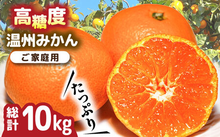 【2026年11月下旬-発送】温州みかん 約10kg [SCV012] みかん